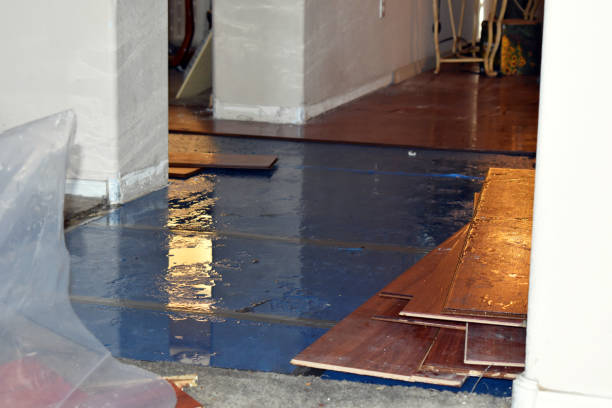 Professional Water Damage Restoration technician working in Woodville, MS